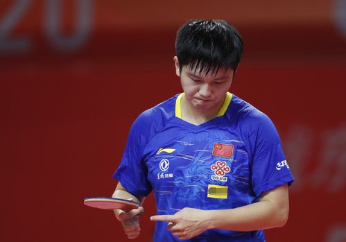 响转会的因 响转会的因