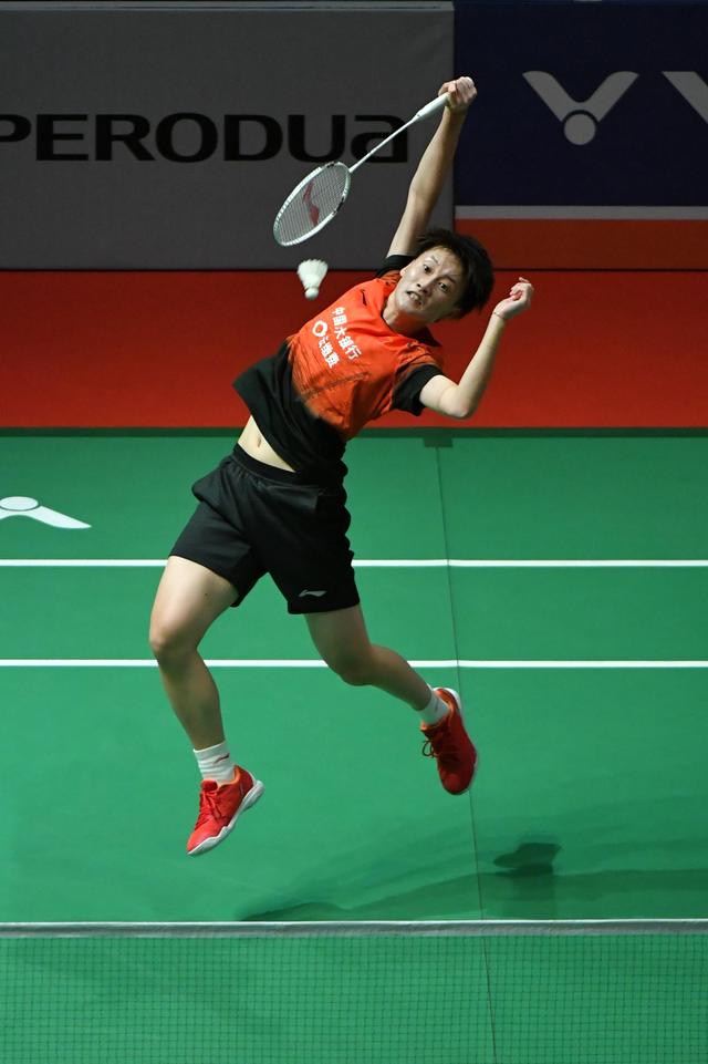 藏主力的案 藏主力的案